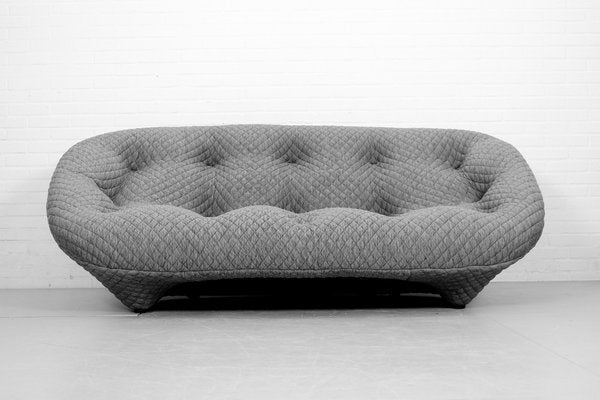 Ploum 3-Seat Sofa and Ottoman by E. & R. Bouroullec for Ligne Roset, 2000s, Set of 2-ZA-1543006