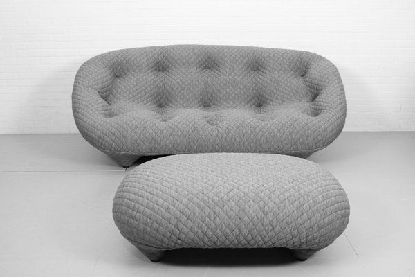 Ploum 3-Seat Sofa and Ottoman by E. & R. Bouroullec for Ligne Roset, 2000s, Set of 2-ZA-1543006