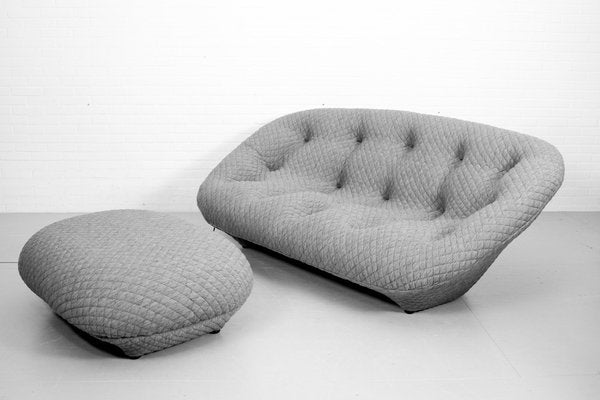 Ploum 3-Seat Sofa and Ottoman by E. & R. Bouroullec for Ligne Roset, 2000s, Set of 2-ZA-1543006