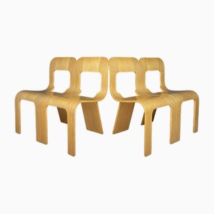 Plywood Esse Dining Chairs by Gigi Sabadin for Stilwood, Italy, 1970s, Set of 4-WQC-1743080