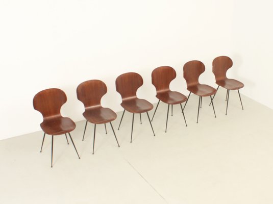 Plywood Side Chairs by Carlo Ratti, Italy, 1950s, Set of 6-UB-1822169