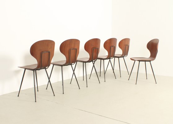 Plywood Side Chairs by Carlo Ratti, Italy, 1950s, Set of 6-UB-1822169