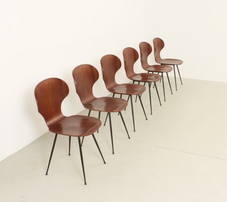 Plywood Side Chairs by Carlo Ratti, Italy, 1950s, Set of 6-UB-1822169