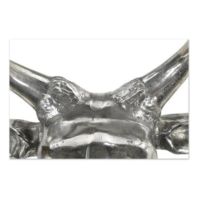 Polished Metal Bulls Head-NQ-1422025