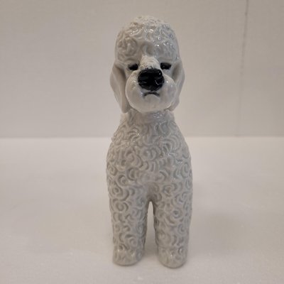 Poodle Figures in Porcelain by Fritz Heidenreich for Rosenthal, Germany, 1940s, Set of 3-NUC-2033213