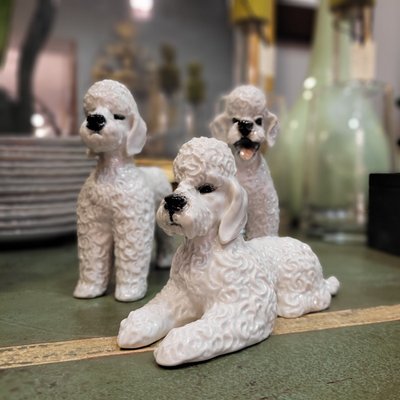 Poodle Figures in Porcelain by Fritz Heidenreich for Rosenthal, Germany, 1940s, Set of 3-NUC-2033213