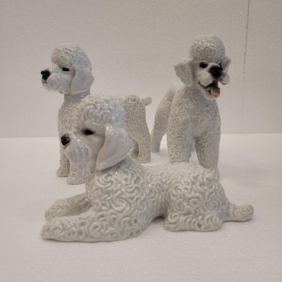 Poodle Figures in Porcelain by Fritz Heidenreich for Rosenthal, Germany, 1940s, Set of 3-NUC-2033213