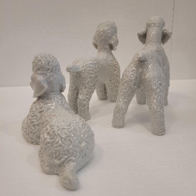 Poodle Figures in Porcelain by Fritz Heidenreich for Rosenthal, Germany, 1940s, Set of 3-NUC-2033213