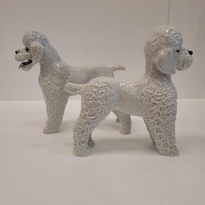 Poodle Figures in Porcelain by Fritz Heidenreich for Rosenthal, Germany, 1940s, Set of 3-NUC-2033213