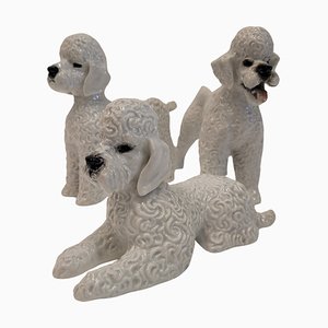 Poodle Figures in Porcelain by Fritz Heidenreich for Rosenthal, Germany, 1940s, Set of 3-NUC-2033213