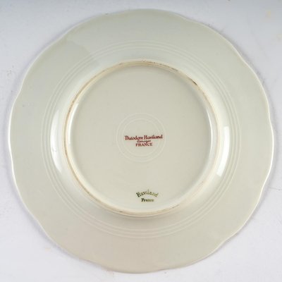 Porcelain Plates by Theodore Haviland, Set of 9-WFS-968332