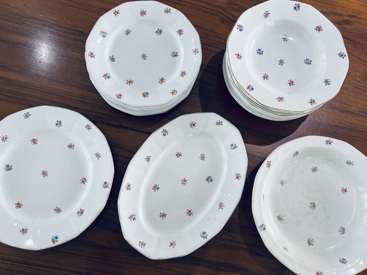 Porcelain Tableware from Sarreguemines, France, 1960s, Set of 48-HDF-1720914