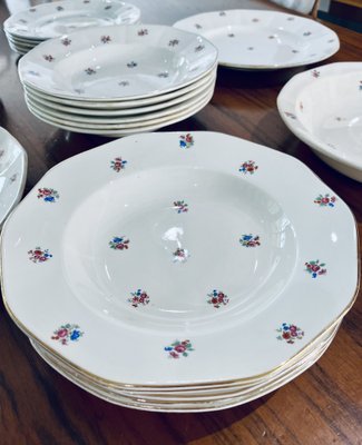 Porcelain Tableware from Sarreguemines, France, 1960s, Set of 48-HDF-1720914