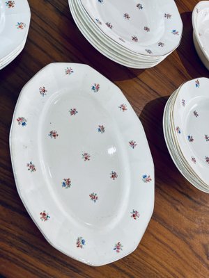 Porcelain Tableware from Sarreguemines, France, 1960s, Set of 48-HDF-1720914