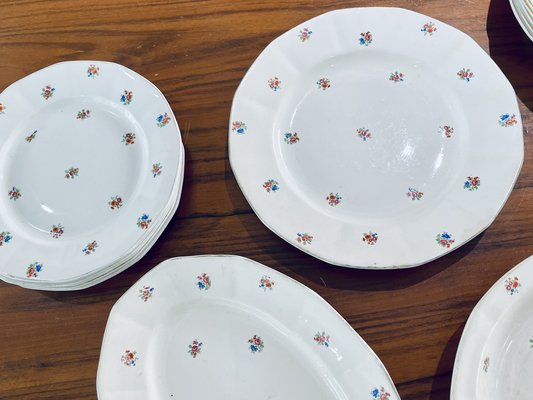 Porcelain Tableware from Sarreguemines, France, 1960s, Set of 48-HDF-1720914