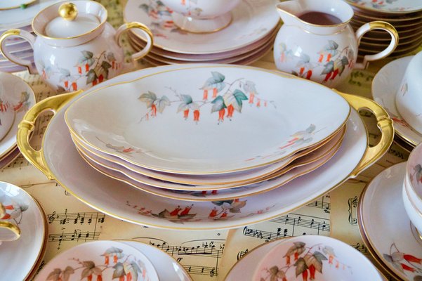 Porcelain Tea & Luncheon Service by Jean Haviland, Set of 40-DVX-1259675