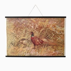 Poster of Pheasant, 1950s-ALG-1072863