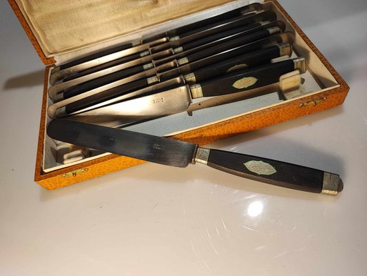 Pre-War Licot Namur Plates and Knives in Case, Set of 10-CAQ-1780000