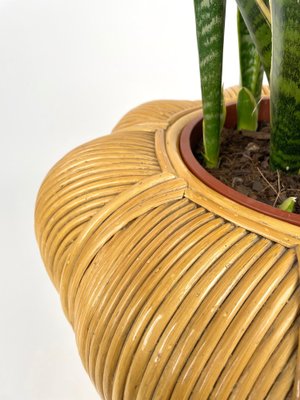 Rattan Cachepot Vase or Plant Holder, Italy, 1970s-LYQ-1258003