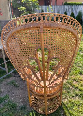 Rattan Peacock Chair, 1970s-OXJ-1293463