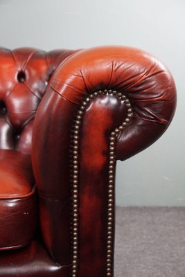 Red Cattle Chesterfield Sofa-HPP-1717805