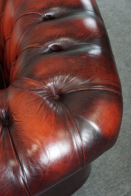 Red Cattle Chesterfield Sofa-HPP-1717805