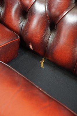 Red Cattle Chesterfield Sofa-HPP-1717805