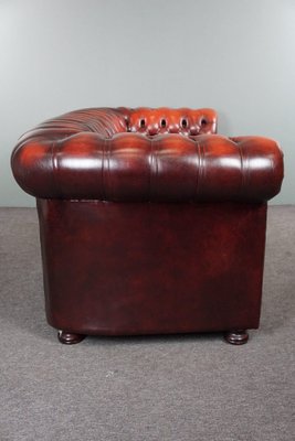 Red Cattle Chesterfield Sofa-HPP-1717805