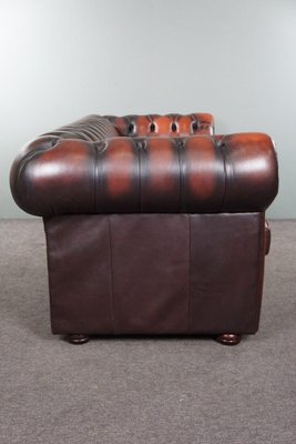 Red Cattle Chesterfield Sofa-HPP-1764183