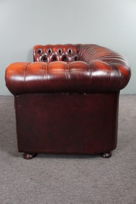 Red Cattle Chesterfield Sofa-HPP-1717805