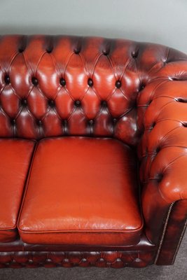 Red Cattle Chesterfield Sofa-HPP-1717805