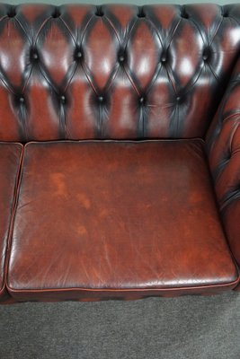 Red Cattle Chesterfield Sofa-HPP-1764183