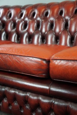 Red Cattle Chesterfield Sofa-HPP-1717805