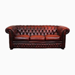 Red Cattle Chesterfield Sofa-HPP-1717805