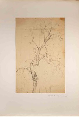 Reynold Arnould, Tree, Pencil Drawing, Mid-20th Century-ZCI-1788613