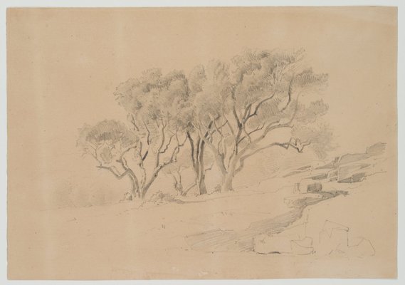 Rocky Landscape with Trees, 19th-century, Pencil-OJR-1273406