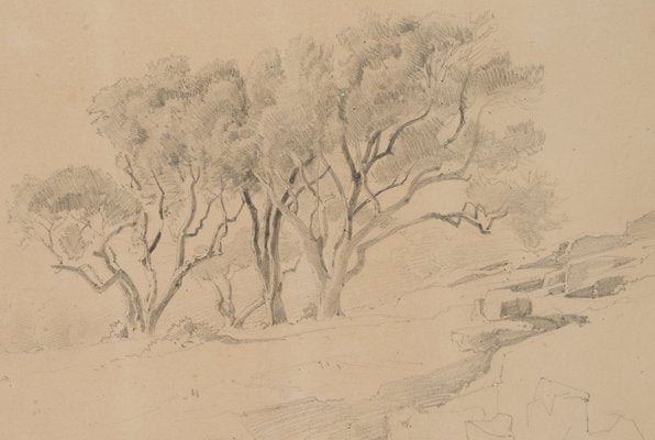 Rocky Landscape with Trees, 19th-century, Pencil-OJR-1273406