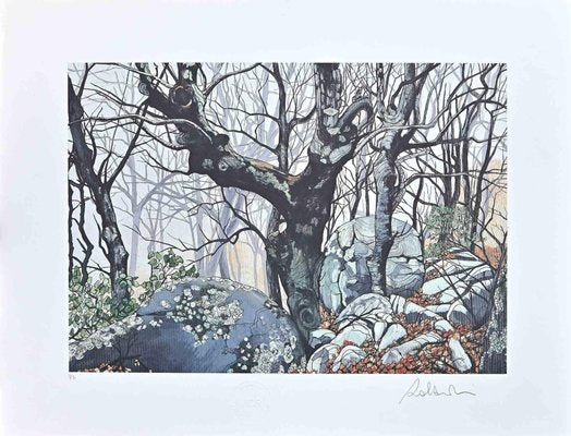 Rolandi (Maurizio Coccia), In The Forest, Screen Print, 1970s-ZCI-1760520