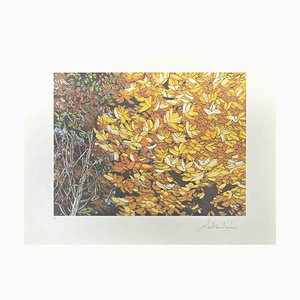 Rolandi (Maurizio Coccia), Landscapes of Autumn, Screen Print, 1980s-ZCI-2029515