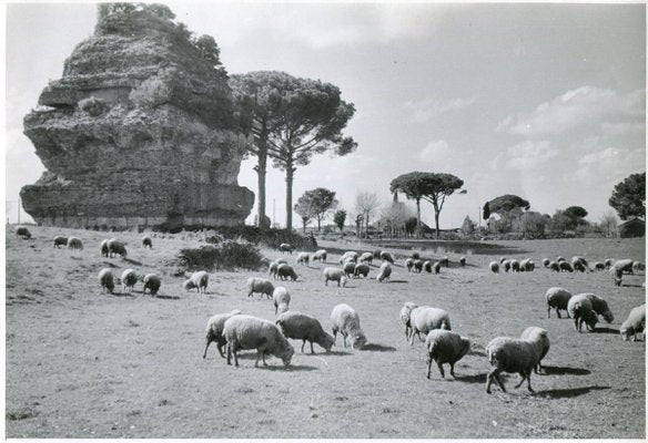 Rome Via Appia, 1954-DYV-701121