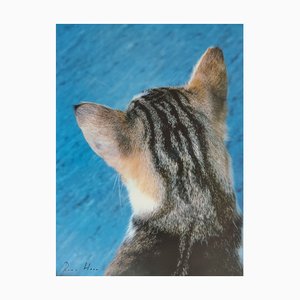 Roni Horn, Untitled (Kitty Cat), 2000s, Offset Print-KHH-1208601