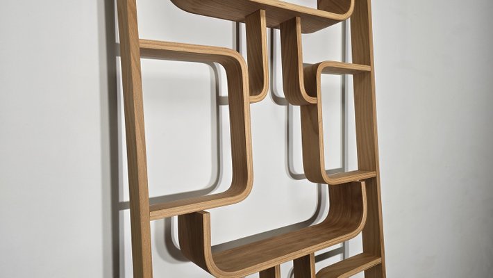 Room Divider by Ludvik Volak for Drevopodnik Holesov, 1950s-QJA-2021412