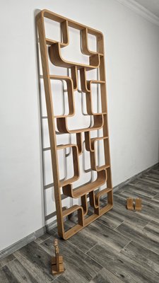 Room Divider by Ludvik Volak for Drevopodnik Holesov, 1950s-QJA-2021412