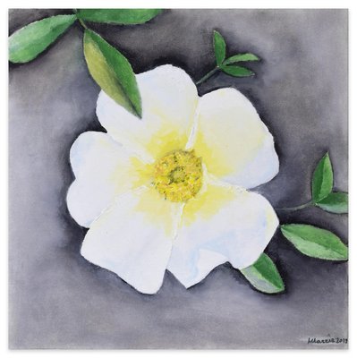 Rosa Bracteata - Original Oil on Canvas by Marzia Trinca - 2019 2019-ZCI-757196