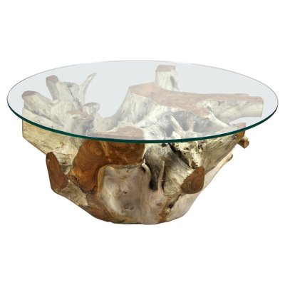 Round Organic Teak Root Coffee Table with Safety Glass Plate, 2021-TQA-1322207