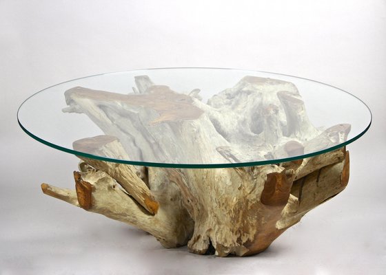 Round Organic Teak Root Coffee Table with Safety Glass Plate, 2021-TQA-1322207