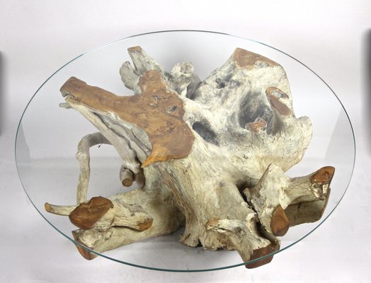 Round Organic Teak Root Coffee Table with Safety Glass Plate, 2021-TQA-1322207