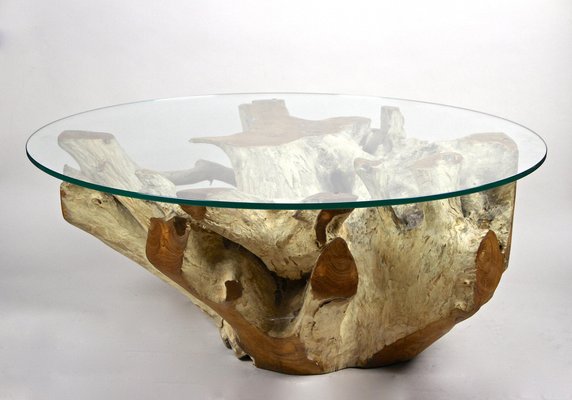 Round Organic Teak Root Coffee Table with Safety Glass Plate, 2021-TQA-1322207