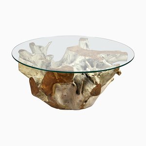 Round Organic Teak Root Coffee Table with Safety Glass Plate, 2021-TQA-1322207