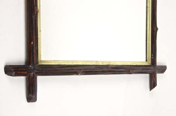 Rustic Austrian Black Forest Rustic Wall Mirror, 1880s-TQA-1322103